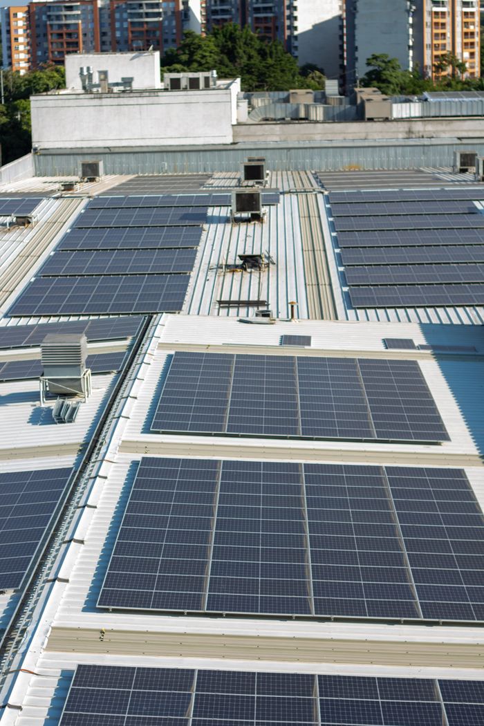 services-01 Close-up of solar panel cleaning using a brush tool in Tampa, Florida.